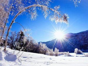 Фото ілюстративне з відкритих джерел  