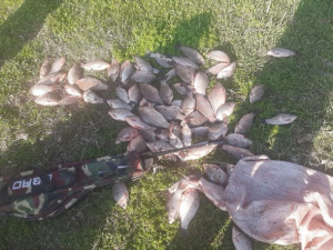 Фото: Дніпропетровський рибоохоронний патруль