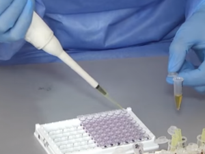 Фото из сети Интернет