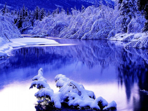 Лютневий арктичний удар: пік морозів і прогнози синоптиків - фото з відкритих джерел