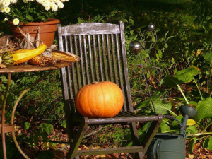 Посіви та підготовка ґрунту: поради садівникам на жовтень - фото з відкритих джерел