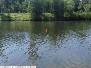 Фото из сети Интернет