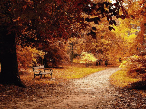 Фото з відкритих джерел    