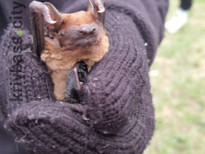 Фото редакції krivbass.city