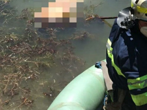 Фото пресс-службы ГСЧС Днепропетровской области