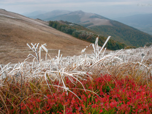 Погода на тиждень - фото ілюстративне з відкритих джерел 