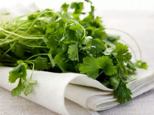 Кінза для серця та смаку: як додавати у страви - фото з відкритих джерел