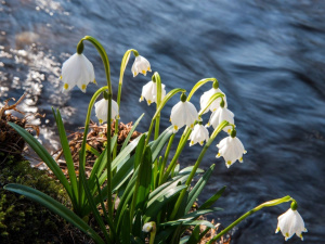 Фото з відкритих джерел    