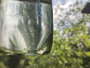 Фото редакції krivbass.city