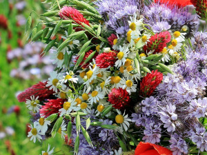 Фото з відкритих джерел