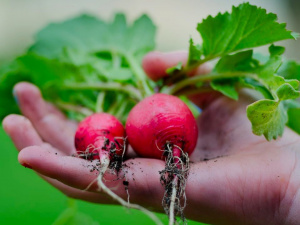 Фото з відкритих джерел