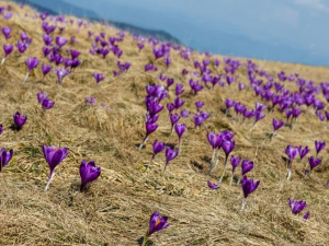 Фото: Depositphotos