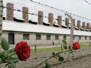 Фото із мережі Інтернет