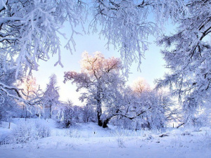 Антициклон відступає: Україну накриє зміна погоди - фото з відкритих джерел