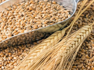 Фото із мережі Інтернет