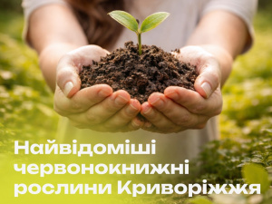 Фото Інститут розвитку міста Кривого Рогу