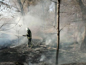 Майже півсотні пожеж ліквідували в екосистемах на Дніпропетровщині за минулу добу