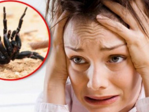 Фото із мережі інтернет