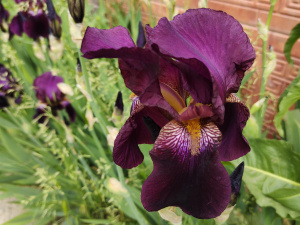 Фото редакції krivbass.city