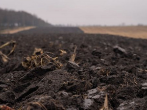 Фото із мережі Інтернет