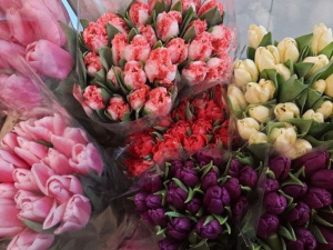 Фото редакции krivbass.city