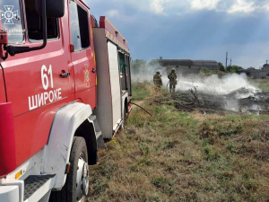 Громади Дніпропетровщини палають: протягом доби надзвичайники понад 30 разів гасили пожежі в екосистемах