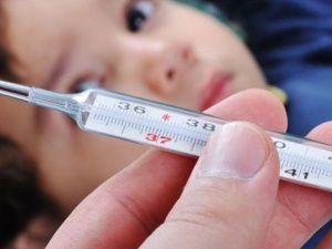 Фото из сети Интернет