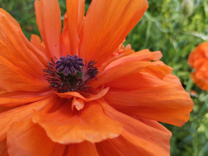 Фото редакції krivbass.city