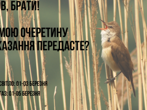 Фото: Depositphotos