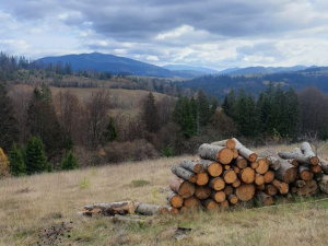 Фото редакції krivbass.city