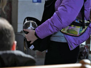 Фото із мережі Інтернет