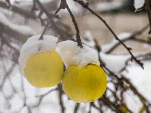 Фото з відкритих джерел