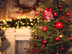 Фото з відкритих джерел