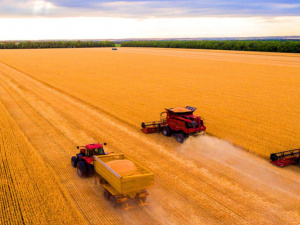 Фото з відкритих джерел