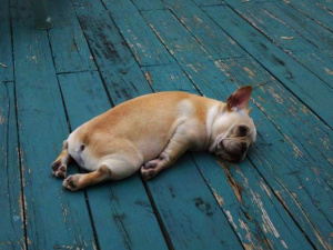 Фото із мережі Інтернет