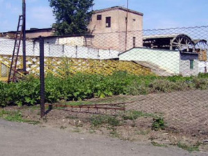 Фото из сети Интернет