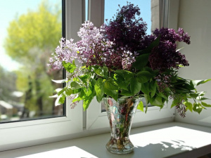 Фото редакції krivbass.city 