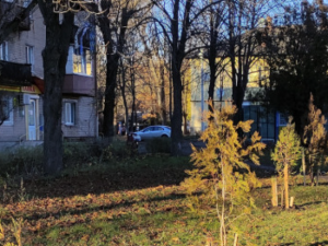 Центральний ГЗК висадив 740 дерев у селищі Авангард