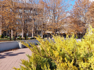 Є питання до чиновників Кривого Рогу? Наступного тижня є можливість поспілкуватись із ними