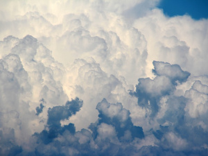 Фото з відкритих джерел