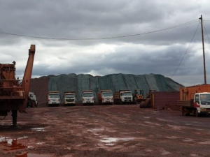 Фото: Державна екологічна інспекція (Facebook)