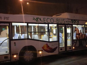 Фото из сети Интернет