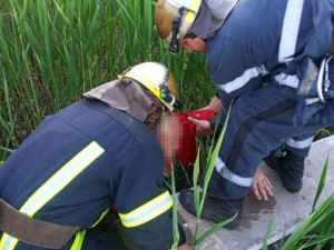 Фото пресс-службы ГСЧС Днепропетровской области