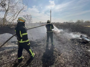 Горить і палає: за добу вогнеборці ліквідували 48 пожеж в екосистемах Дніпропетровщини