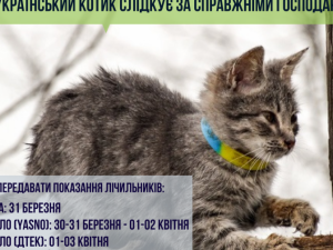 Зображення редакції krivbass.city