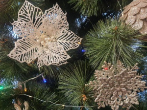 Фото редакції krivbass.city