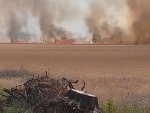 Фото: Криворізька районна військова адміністрація