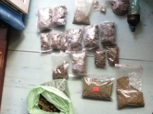 Фото пресс-службы полиции Днепропетровской области