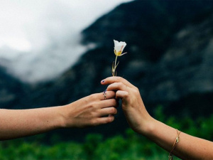 Фото з відкритих джерел