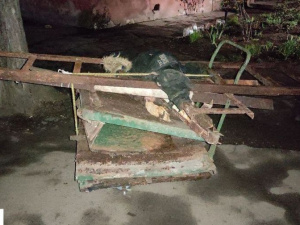 Фото пресс-службы Полка патрульной полиции Кривого Рога